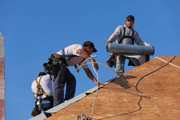 Best Storm Damage Roof Repair  in Choctaw Lake, OH