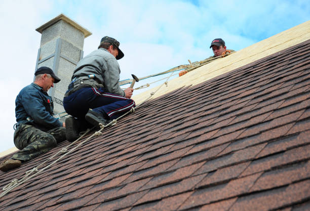 Best Roof Waterproofing Services  in Choctaw Lake, OH