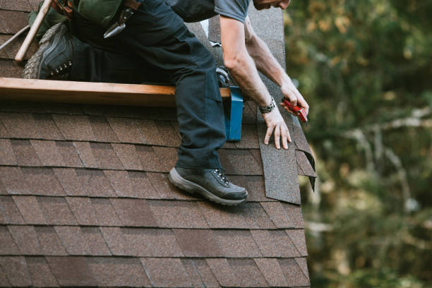 Best Roof Gutter Cleaning  in Choctaw Lake, OH